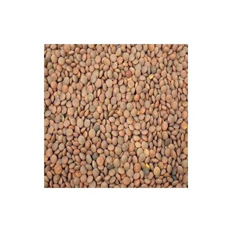 Campo Floral Medio Bulto Lenteja Campo Floral 1K/5P-Despensaenlinea