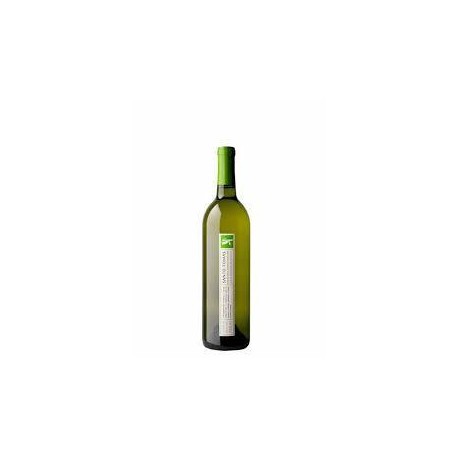 MayoreoTotal Caja Vino Blanco Chardonnay Santo Tomas 12P/750M-Despensaenlinea