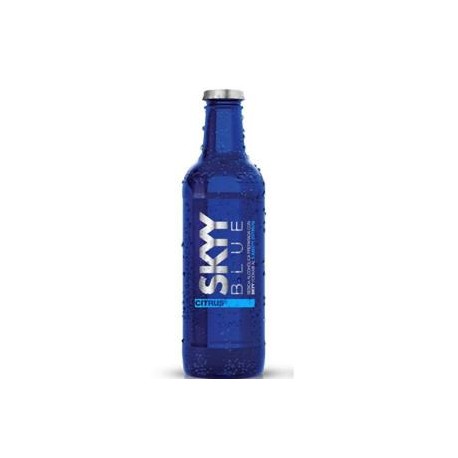 N/A Caja bebida Vodka skyy blue 275M/24P-Despensaenlinea