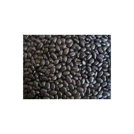 Abeto Paquete Frijol Negro de 1kg con 5 bolsas - Joya-Despensaenlinea