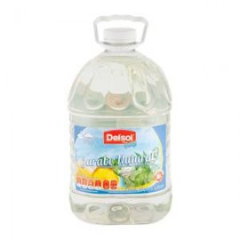 Delsol Endulzante Delsol Jarabe Natural 5L - ZK-Despensaenlinea