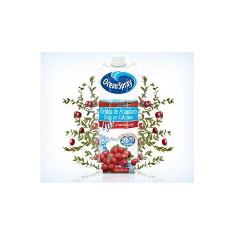 Ocean Spray Caja Jugo Arandano Ocean Spray 1L/12P-Despensaenlinea