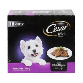 Mars Alimento para Perro Cesar Sabor Filete Mignion 10P/75G - ZK-Despensaenlinea