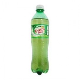 Peñafiel Caja Refresco Canada Dry Ginger Ale 600M/12P-Despensaenlinea