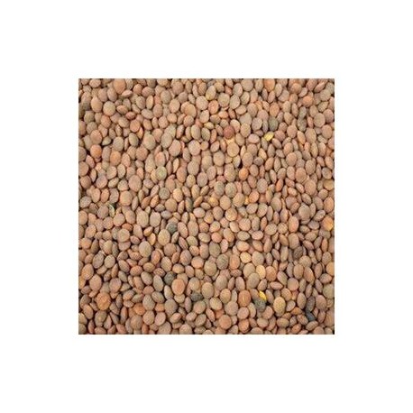 Campo Floral Bulto lenteja Campo Floral 1K/10P-Despensaenlinea