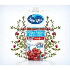 Ocean Spray Caja Jugo Arandano Ocean Spray 1L/12P-Despensaenlinea