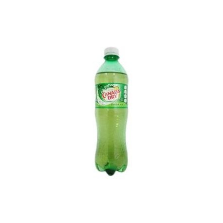 Peñafiel Caja Refresco Canada Dry Ginger Ale 600M/12P-Despensaenlinea